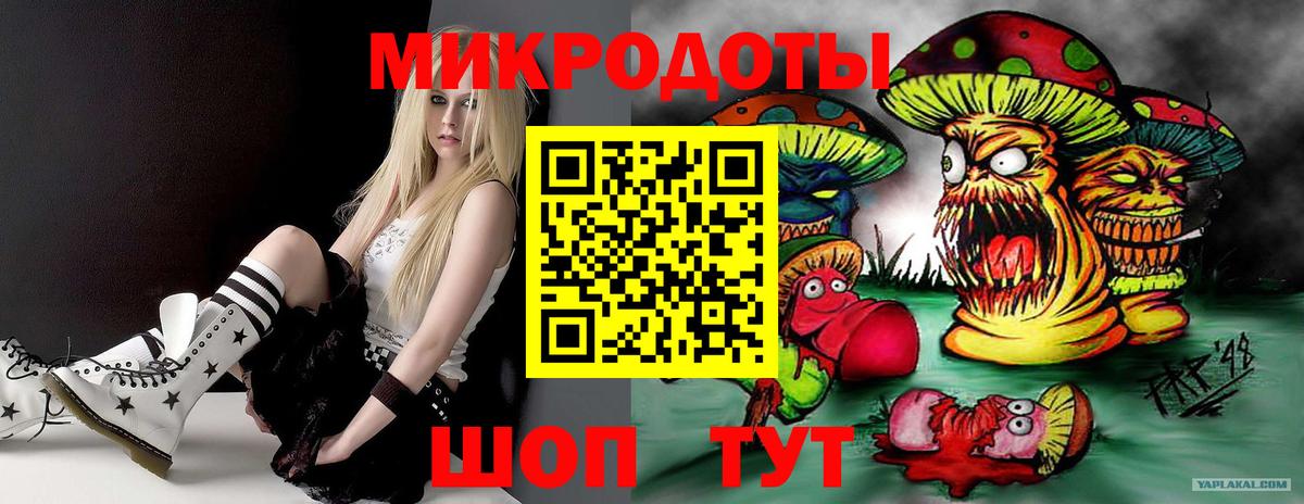Псилоцибиновые грибы прущие грибы Великий Устюг